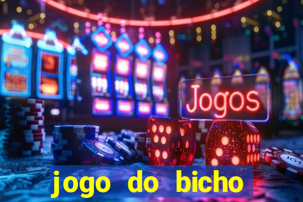 jogo do bicho crash bingo